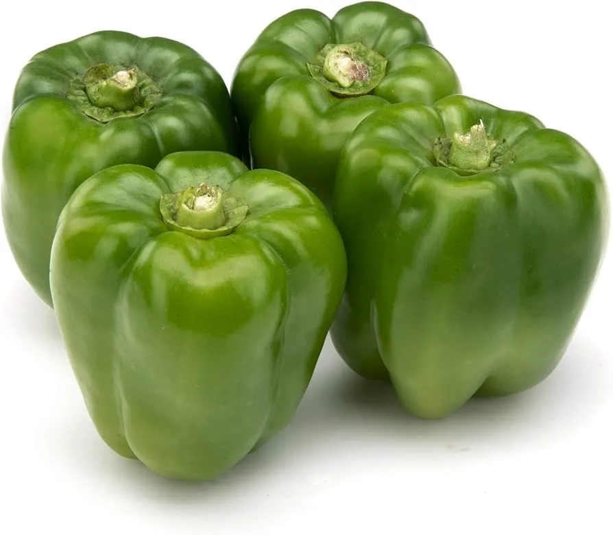 [Shimla Mirch] Capsicum