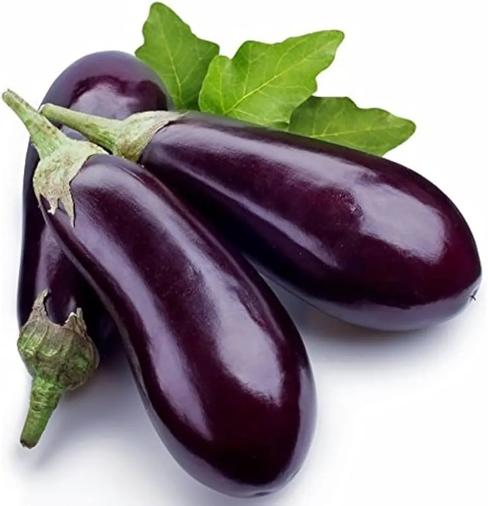 [Ringan] Brinjal