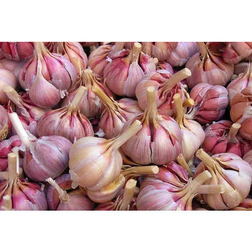 [Lal Lasan] Red Garlic