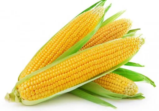 [American Makai] Sweetcorn