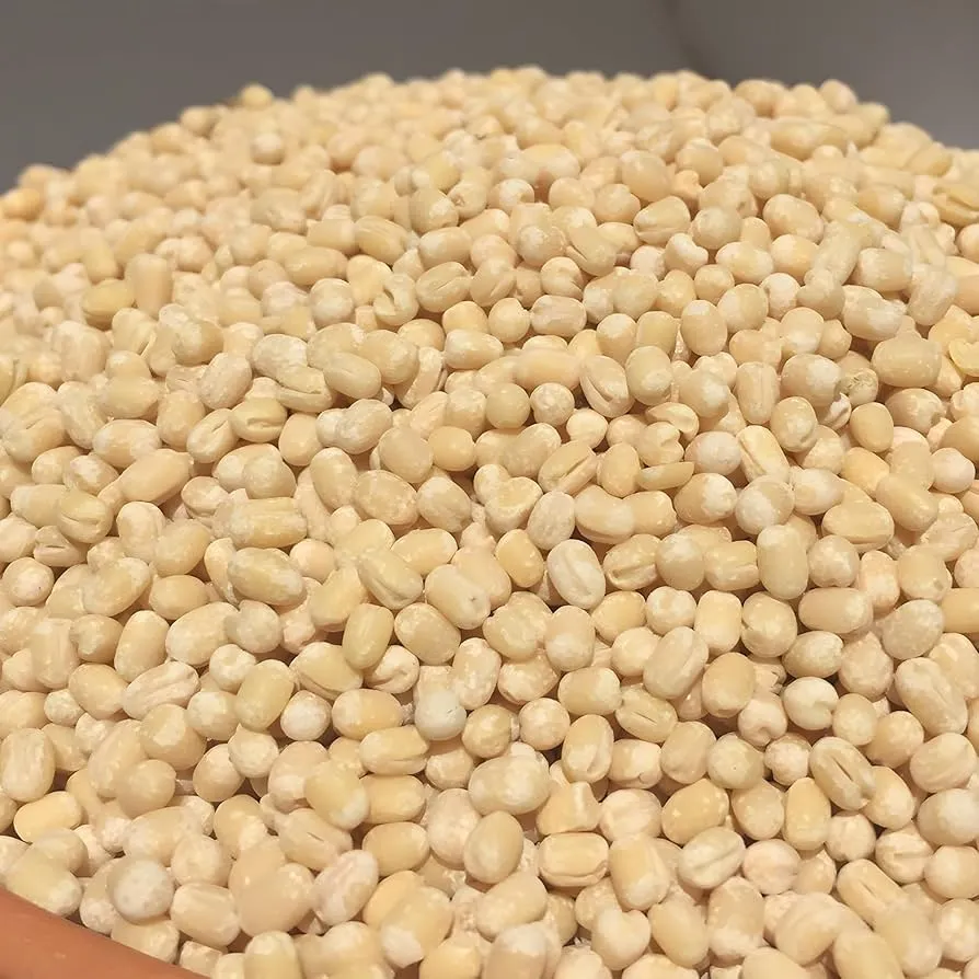 [આખા સફેદ અડદ] Urad Whole White (Gola)