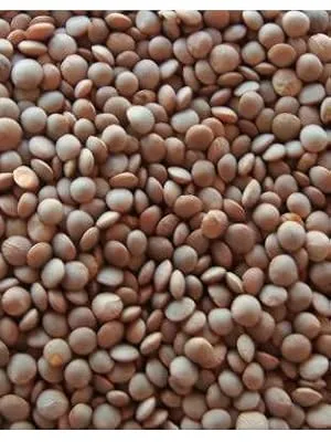 [મસુર મલકા છોડા સાથે] Masoor Whole with Skin