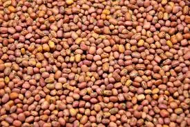 [લાલ ચોળા] Cowpea Red