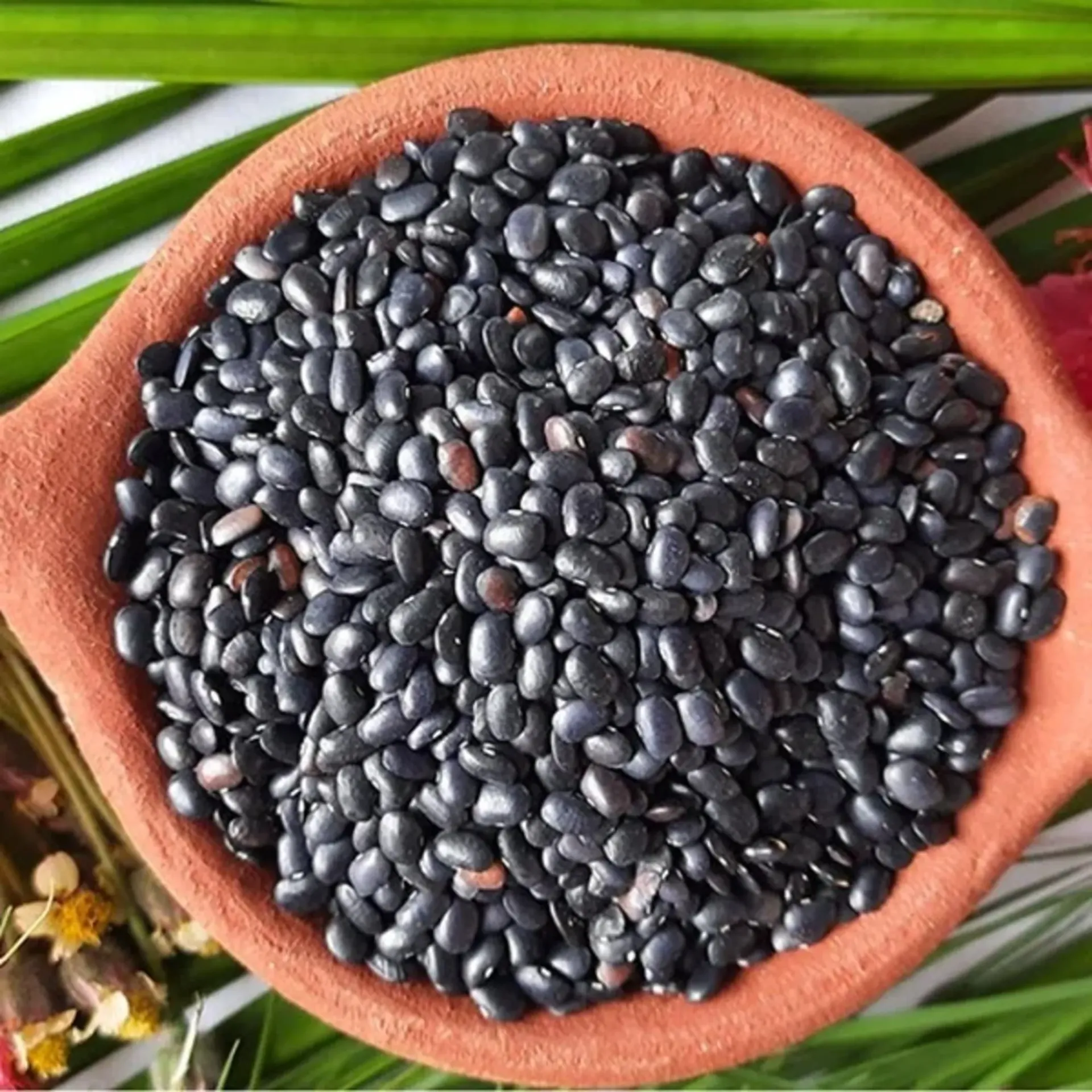 [કળથી કાળી] Horse Gram Black