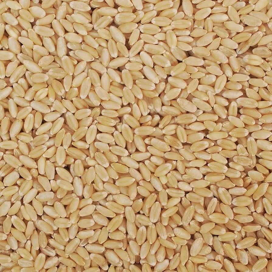 [લોકવન ઘઉં] Lokwan Wheat