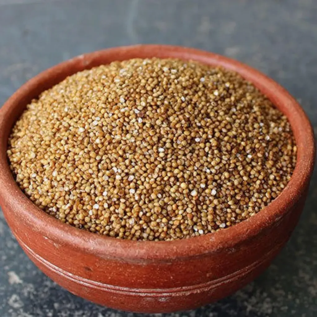 [કોદરી] Kodo Millet