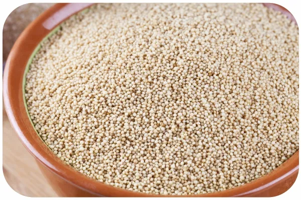 [રાજગરો] Amaranth Seeds