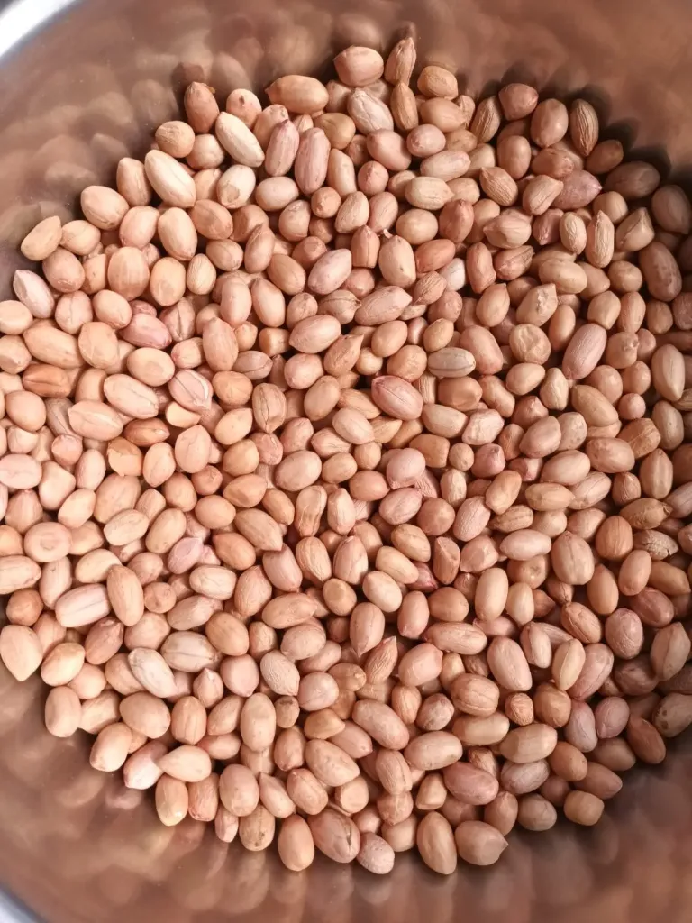 [સિંગદાણા (ઘૂંઘરું દેશી જાત)] Peanut seed (Ghunghru Native Seed)
