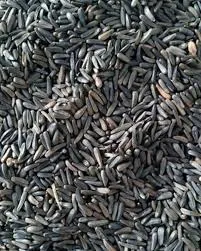 [નાઈજીર બીજ] Niger seeds