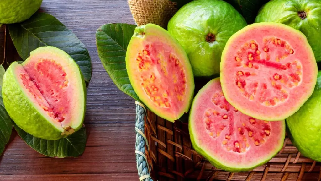 [gulabi jamfal] Pink Guava