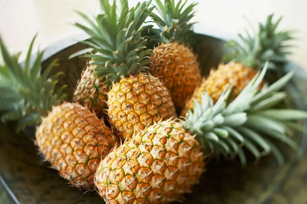 [pineapple] Pineapple